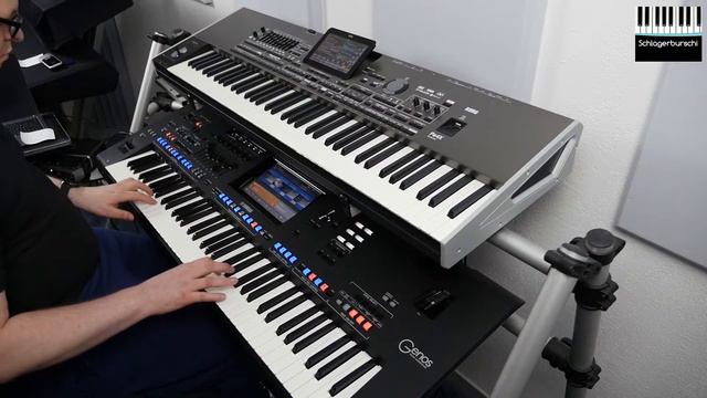 Kerstin Ott : Wegen Dir (Nachts wenn alles schläft) - Cover Schlagerburschi смотреть онлайн