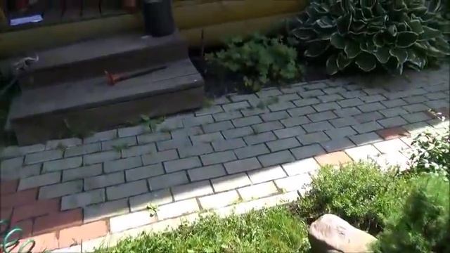 Дача. Влог.Делаем дополнительный полив.Схема участка. Клопогон.Камнеломка. Дела дачные. смотреть онлайн