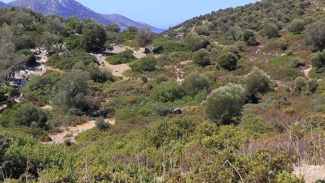 Острова Эгейского Моря | Турция Мармарис | Aegean Islands | Turkey Marmaris 2021 смотреть онлайн