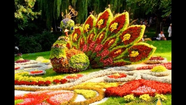 Красивая Музыка для души - Клумба С.Чекалина! Музыка без слов! музыка для медитации relaxation musi смотреть онлайн