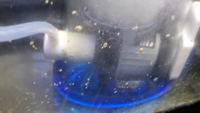 Eshopps s-120 skimmer dc pump upgrade to coralbox dca1200 смотреть онлайн