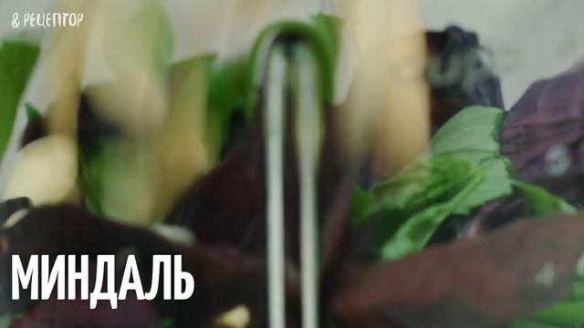 Салаты с Пармезаном