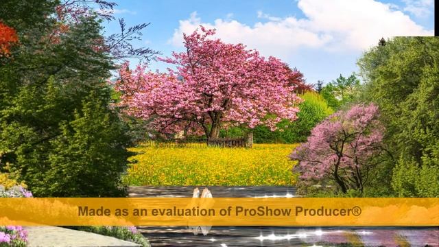 Урок 7 Создание красивого пейзажного стиля в Proshow Producer смотреть онлайн