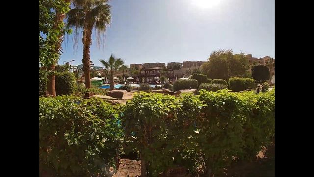 CORAL SEA AQUA CLUB 4* - обзор отеля от турагента