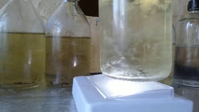 Жидкий мицелий результат роста на флаконах с осадком и без.часть2 смотреть онлайн