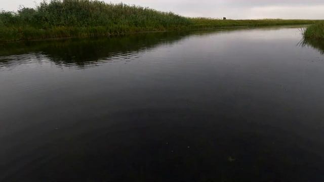 АГРЕССИВНЫЕ АТАКИ ЩУКИ ОСЕНЬЮ НА ВОЛКЕР.Рыбалка в Волго-Ахтубинской пойме. смотреть онлайн