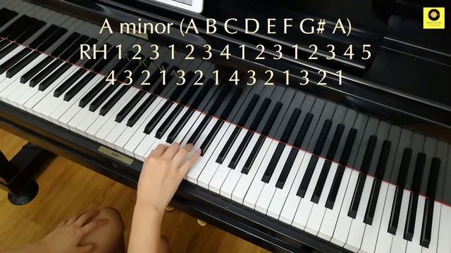 Tutorial ABRSM Grade 1 ALL Scales & Arpeggios | Fingering & notes on screen | FREE PDF смотреть онлайн