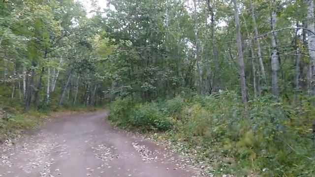 A SERIOUS CHALLENGE TO AN ACTIVE VOLCANO смотреть онлайн
