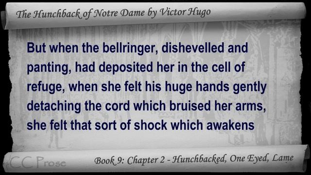 Book 09 - Chapter 2 - The Hunchback of Notre Dame by Victor Hugo - Hunchbacked, One Eyed, Lame смотреть онлайн