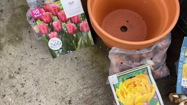 Planting Daffodil, Tulip & Hyacinth Flower Bulbs | Gardening смотреть онлайн