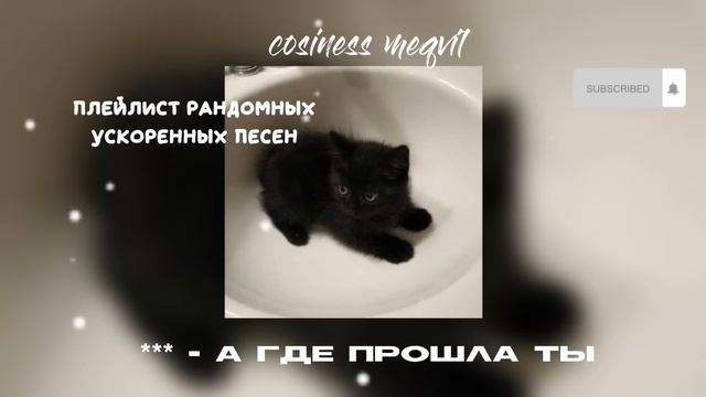 ♡ПЛЕЙЛИСТ РАНДОМНЫХ УСКОРЕННЫХ ПЕСЕН⛥ смотреть онлайн