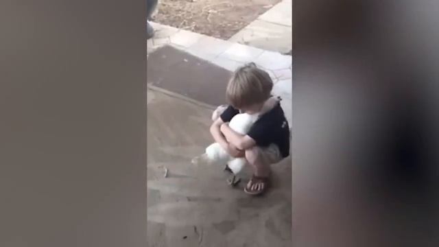 Попробуй НЕ ЗАПЛАКАТЬ! ? Топ 25 Моментов Встречи Животных с Хозяевами После Долгой Разлуки. смотреть онлайн