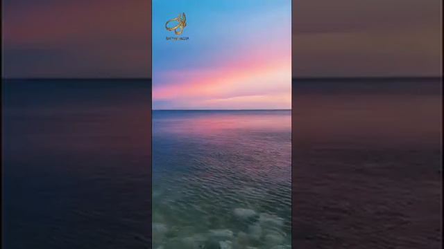 Шейх Мишари Рашид сура-46 Аль-Ахкаф (Барханы) #kuran#zakirnaik #kuran#sunnah#коран