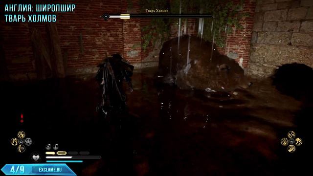 Assassin's Creed: Valhalla | Все Легендарные Звери | Мастер охоты | Трофей / Достижение смотреть онлайн