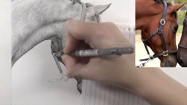 Drawing photo realistic horses with graphite pencils! смотреть онлайн