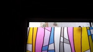 Статическая плёнка на окна, защита от чужих глаз. #пленка #окна #соседи #дом #уют #интерьер #защита