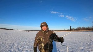 Мотособака Мухтар 7мини.Обзор.Первые испытания на рыбалке.Вуокса,январь 2022.