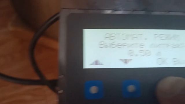 Сибирь. Чёрная смородина. Автоклав. смотреть онлайн