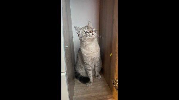 Прогулка и последние выходные денечки