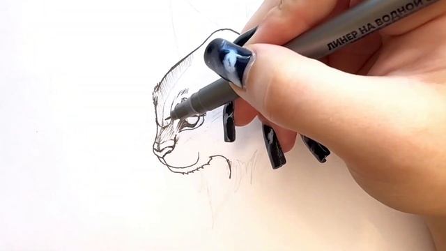 Рысь-Очень Выносливое Млекопитающее Семейства Кошачьих!Рисуем Линером! Легкотня Просто! смотреть онлайн