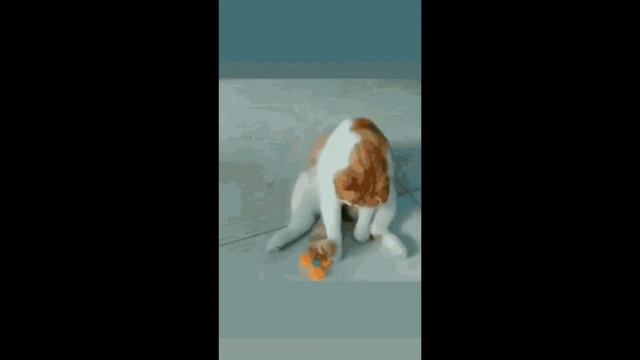 Как же я блин ненавижу Якудзу 0 и вот почему(у меня ужасный голос, простите) смотреть онлайн