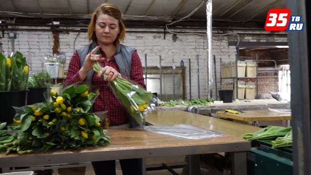 Как выращивают тюльпаны, и как выбрать лучшие - рассказывают специалисты смотреть онлайн