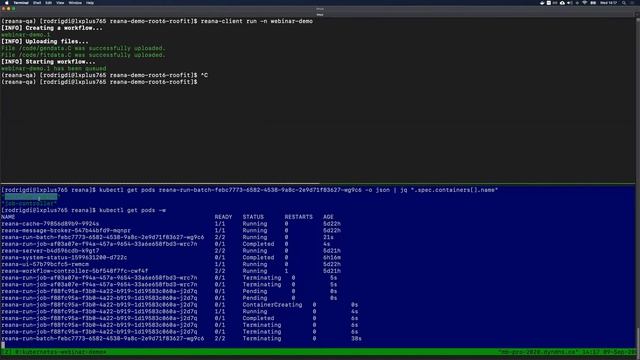 Webinar: Analysis Reproducibility with REANA on Kubernetes смотреть онлайн