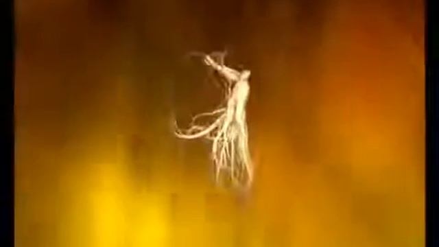 Эликсир 3 Драгоценности Феникс смотреть онлайн