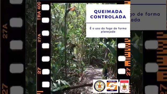 Paragominas no combate às queimadas urbanas e florestais ❌🔥! смотреть онлайн
