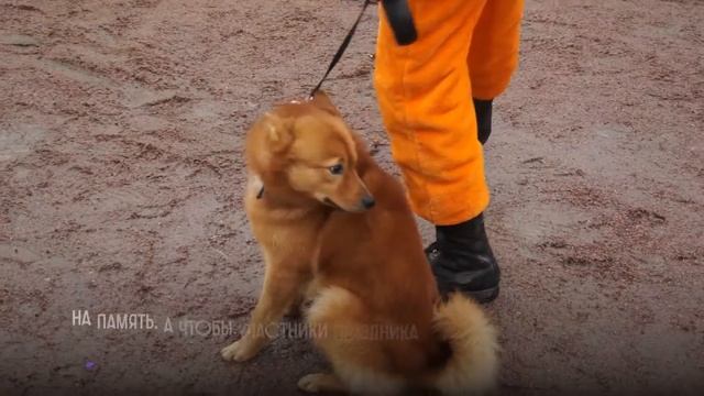 Рождественские гуляния смотреть онлайн