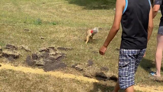 ПОЖАРЫ В БАШКИРИИ 2020. ПЯТИГРАННИК ПЕРЕВЕРНУЛСЯ. СПАСЕНИЕ ЩЕНКА. МОБИЛЬНАЯ БАНЯ. ШУЛЬГАН-ТАШ. смотреть онлайн