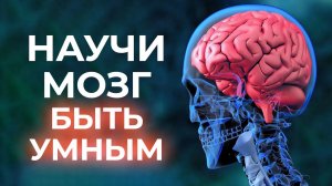 Как прокачать мозг? / Как стать умнее и улучшить работу мозга?