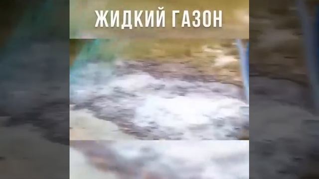 Жидкий газон Aquagrazz