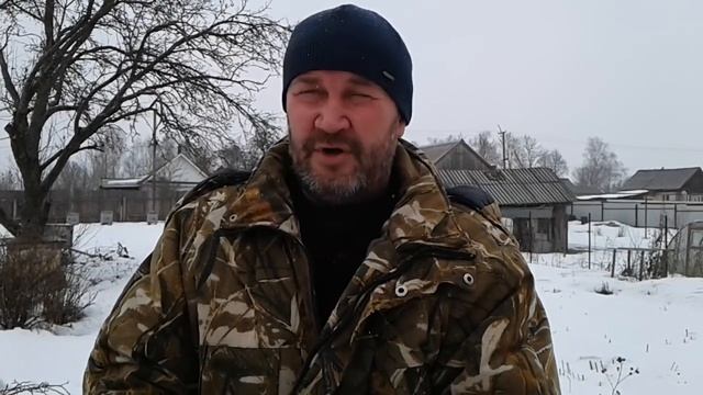 Бакфаст. смотреть онлайн