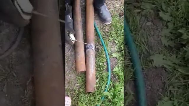 САМАЯ УМНАЯ ПТИЦА,? МАЛЕНЬКИЙ СВАРЩИК?УЖАС ПОГОДКА? смотреть онлайн