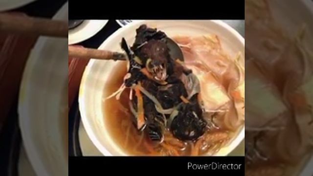 КИТАЙЦЫ ЧТО ЕДЯТ смотреть онлайн