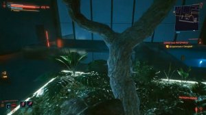 CYBERPUNK 2077 Как забраться в Компэки Плаза и получить культовую катану Сатори в версии игры 1.31