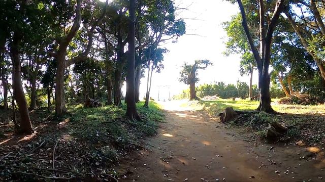 Почему я улетел в Японию. URA KUN - начало жизни в Японии. смотреть онлайн