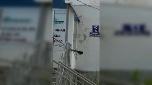 Змея в Дальнегорске смотреть онлайн