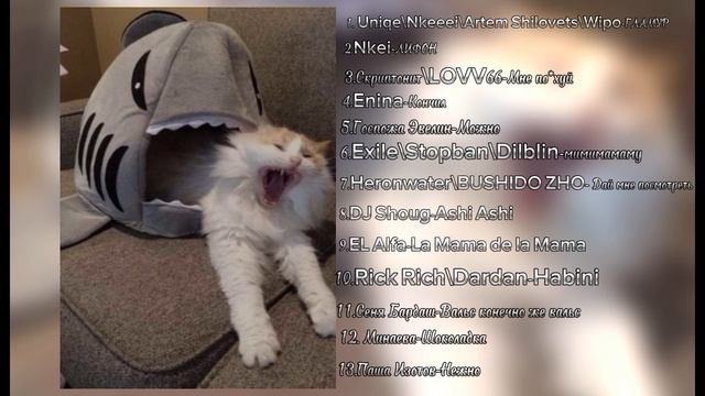 Плейлист/с/рандом/песнями