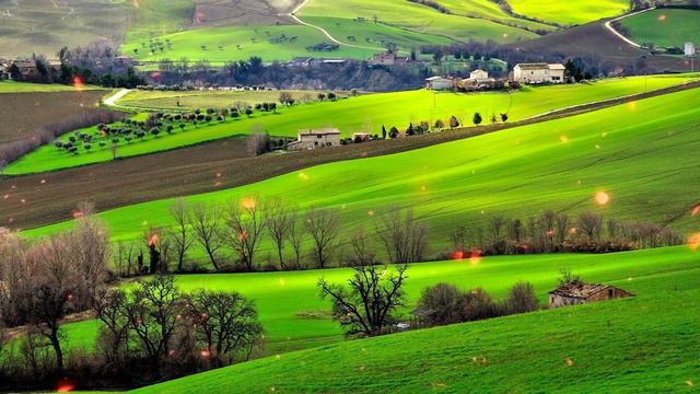 Самая Лучшая Музыка Для Снятия Усталости! Можно слушать Бесконечно! Цветы красиво под музыку #41 смотреть онлайн