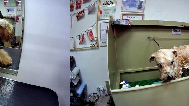 Комплексный уход. смотреть онлайн