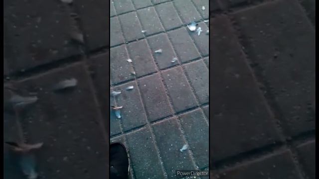в городе Чебаркуль