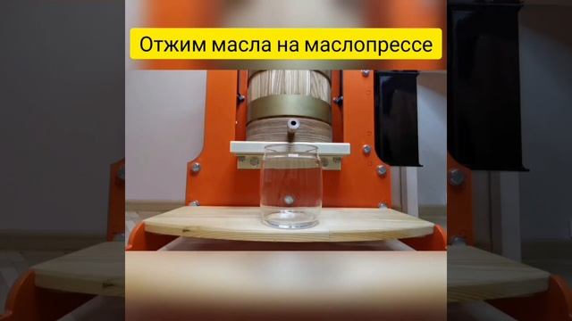 2 способа получения сыродавленного масла холодного отжима смотреть онлайн
