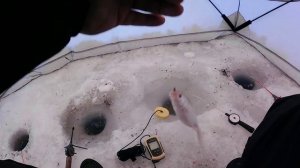 Рыбалка на озере чаны.. в новом году