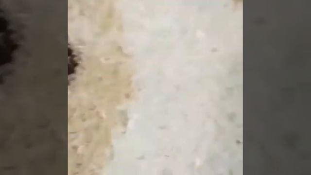 Чистка ковров смотреть онлайн