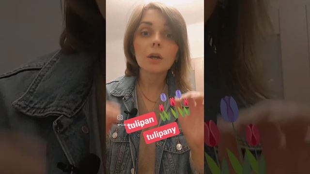 Вимова "Tulipan" Произношение "Tulipan" смотреть онлайн