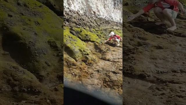 прогулки импровизации с Яной (как в сказке) 11.04.2021 ч1 смотреть онлайн