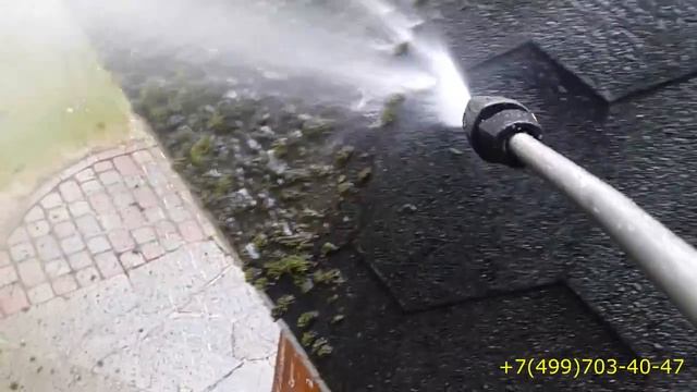 КАК ИЗБАВИТЬСЯ ОТ МХА НА КАТЕПАЛЕ смотреть онлайн