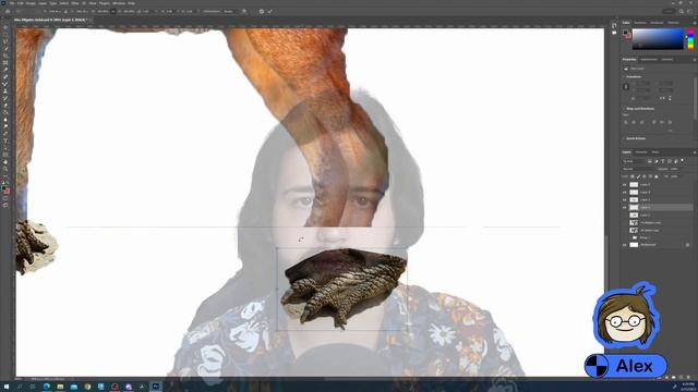 Photoshop Animal Mash-Up: Artists Make Animals WORSE смотреть онлайн